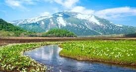 群馬県尾瀬