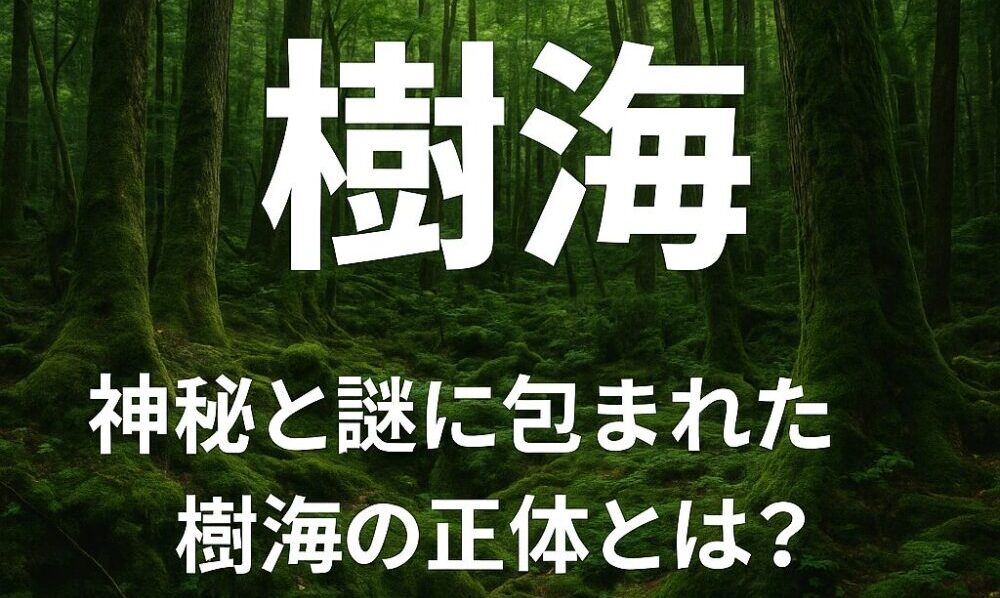 樹海イラスト
